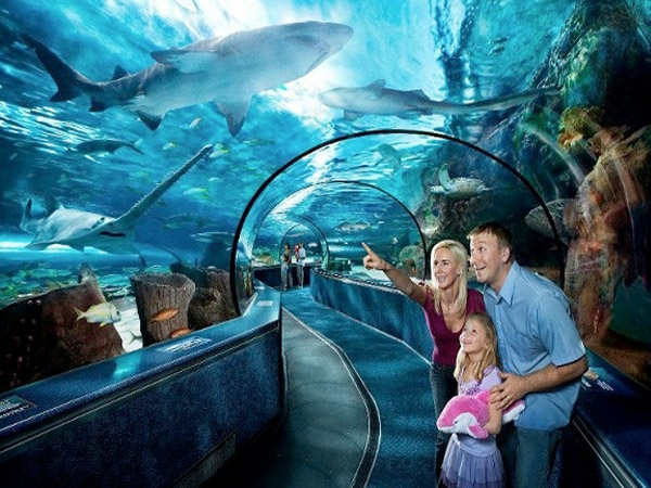 ripley's aquarium